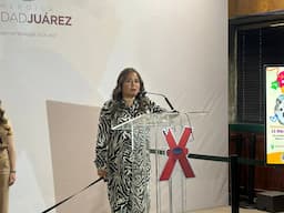 Tiene DABA 85 lomitos en adopción