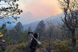 Controlan incendios forestales en tres municipios de Chihuahua