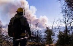 Reducen incendios forestales en Chihuahua un 60%