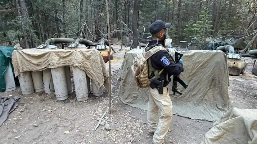 Investigan operativo con CIA en narcolaboratorio en Chihuahua