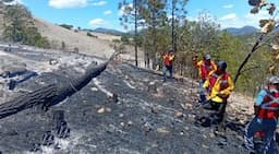Combaten incendio forestal en Guachochi, Chihuahua