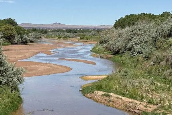 Blog Image