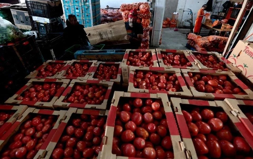 Afectan aranceles de EU precios de jitomate en Chihuahua