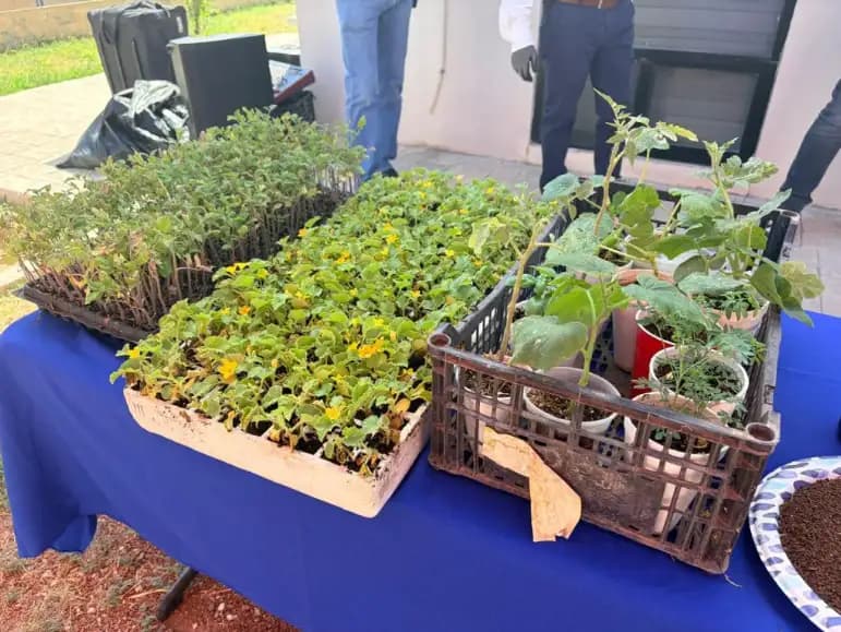 Promueven huertos caseros en Juárez con feria ambiental